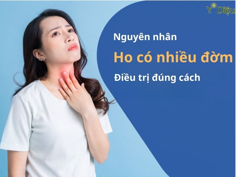 Ho Có Đờm Nhiều Phương Pháp Đánh Giá Và Xử Trí Tốt Nhất